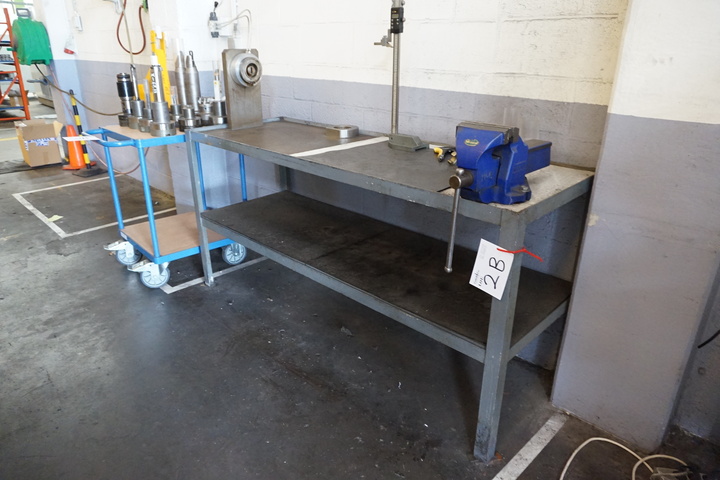 Qty of Tooling and Mobile Trolley (Suitable for a GT Trevisan DS300)