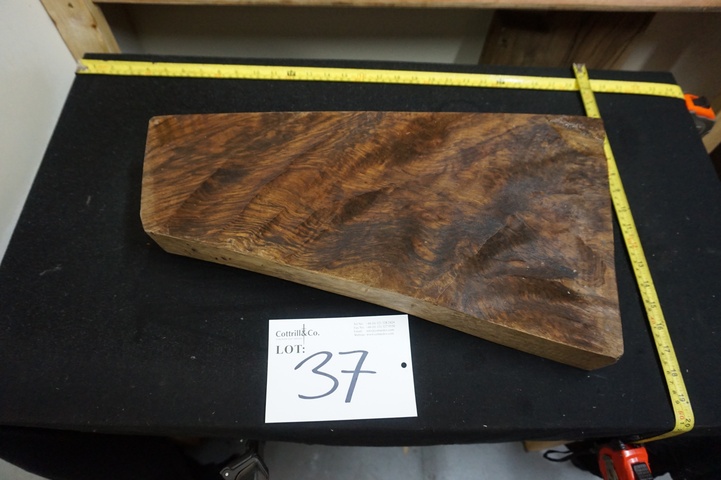 1 Piece of Exhibition Grade Turkish Walnut