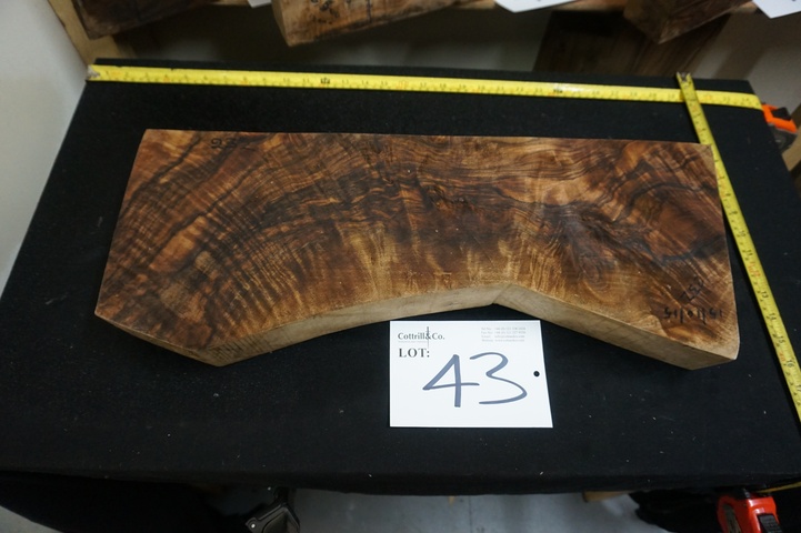 1 Piece of Exhibition Grade Turkish Walnut