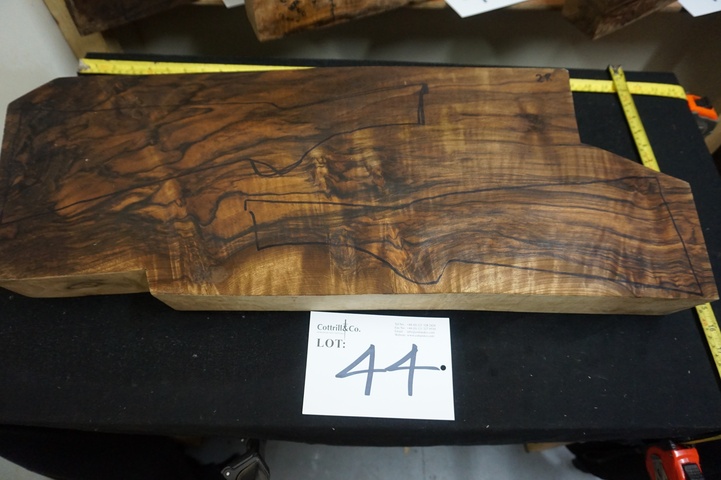 Large Piece of Exhibition Grade Turkish Walnut