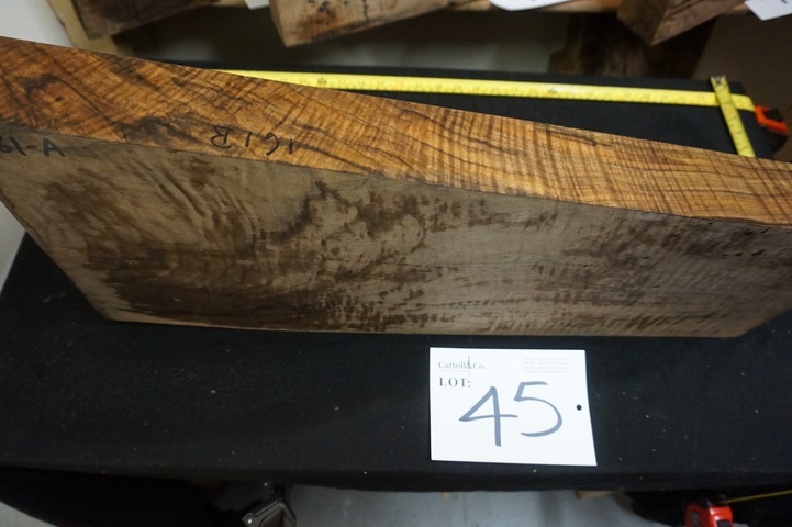 1 Piece of Exhibition Grade Turkish Walnut