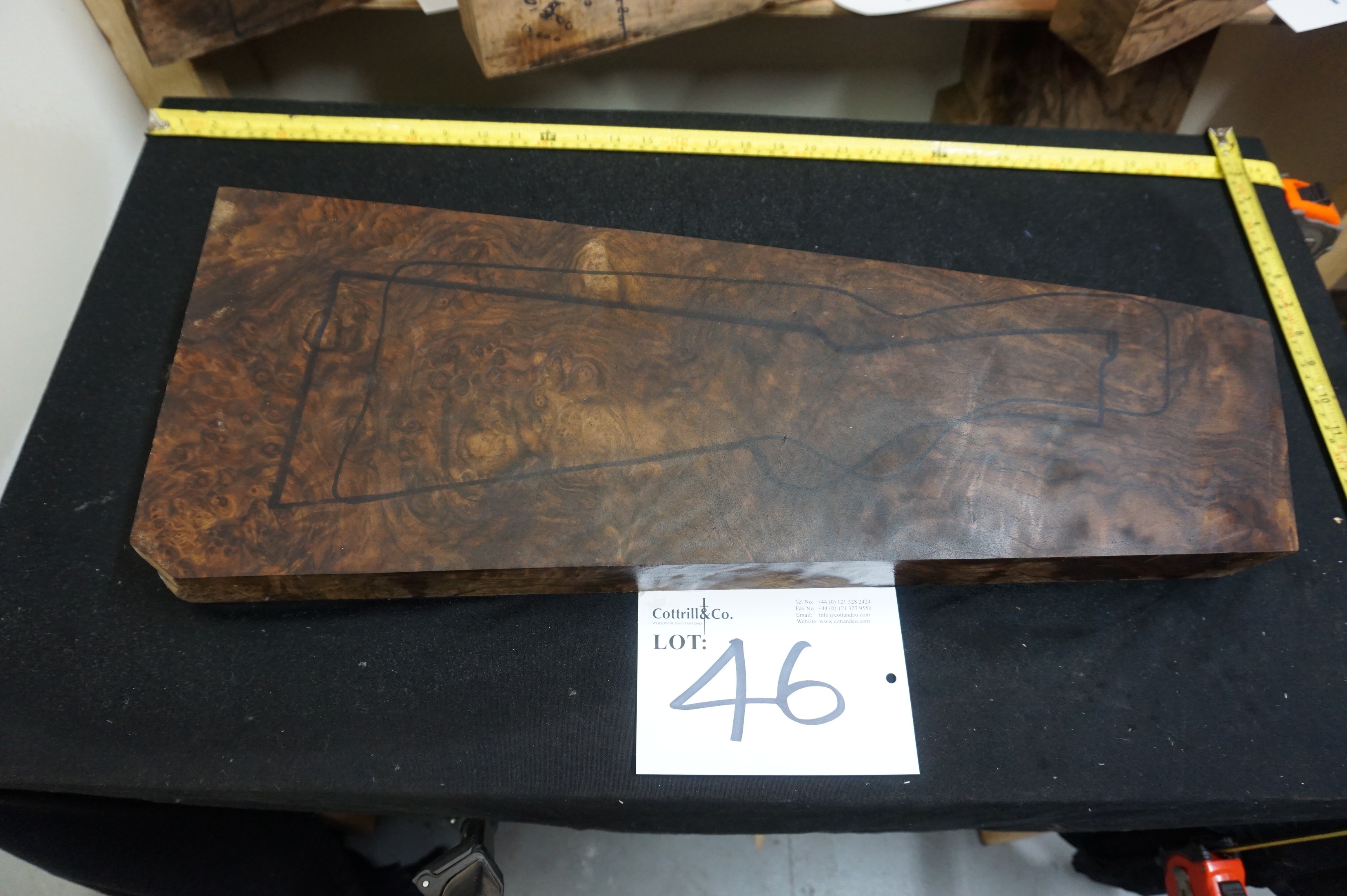 1 Piece of Exhibition Grade Turkish Walnut