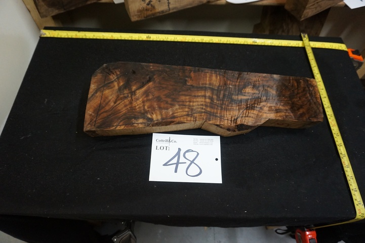 1 Piece of Exhibition Grade Turkish Walnut