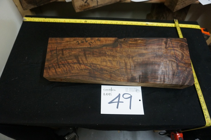 1 Piece of Exhibition Grade Turkish Walnut