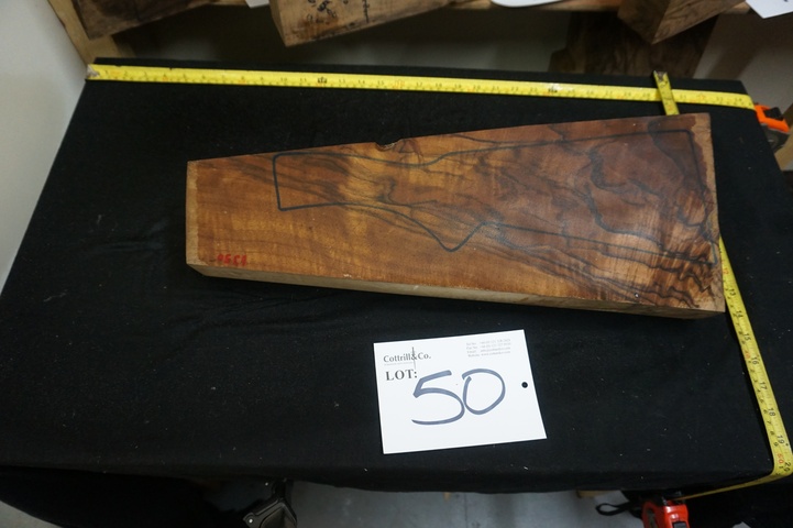 1 Piece of Exhibition Grade Turkish Walnut