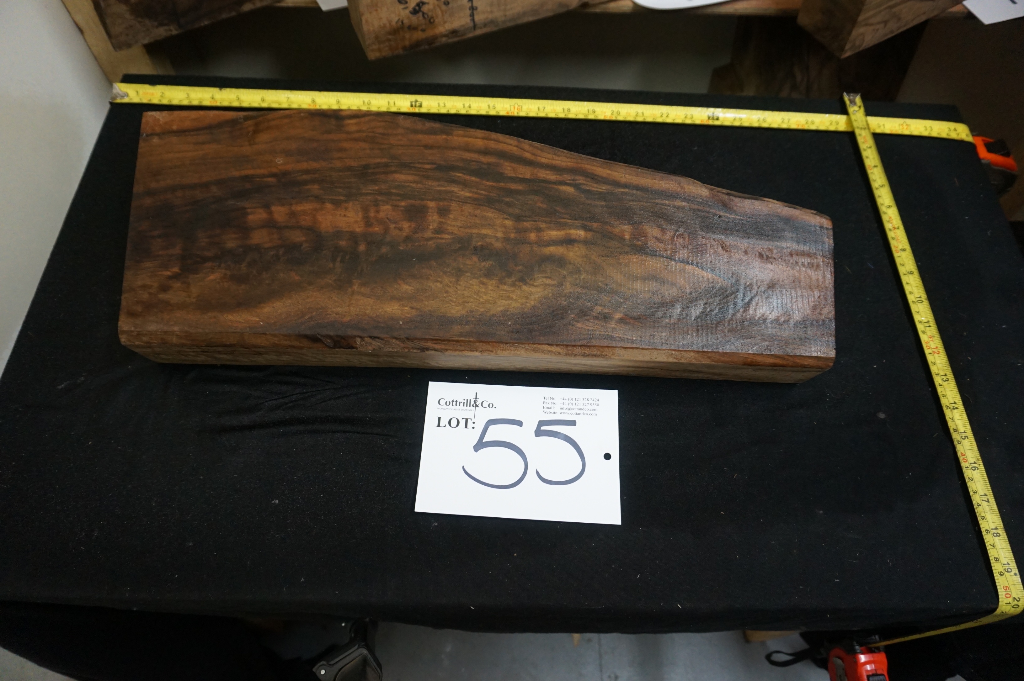 1 Piece of Exhibition Grade Turkish Walnut