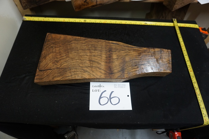 1 Piece of Exhibition Grade Turkish Walnut