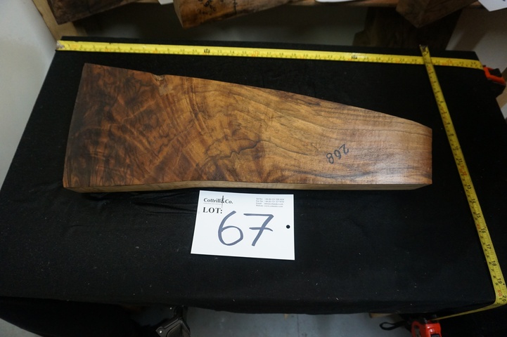 1 Piece of Exhibition Grade Turkish Walnut