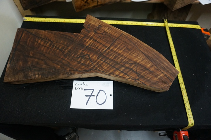 1 Piece of Exhibition Grade Turkish Walnut