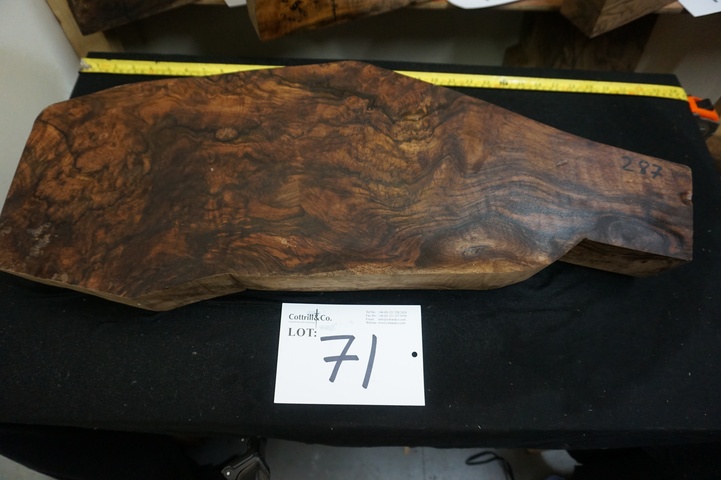 1 Piece of Exhibition Grade Turkish Walnut
