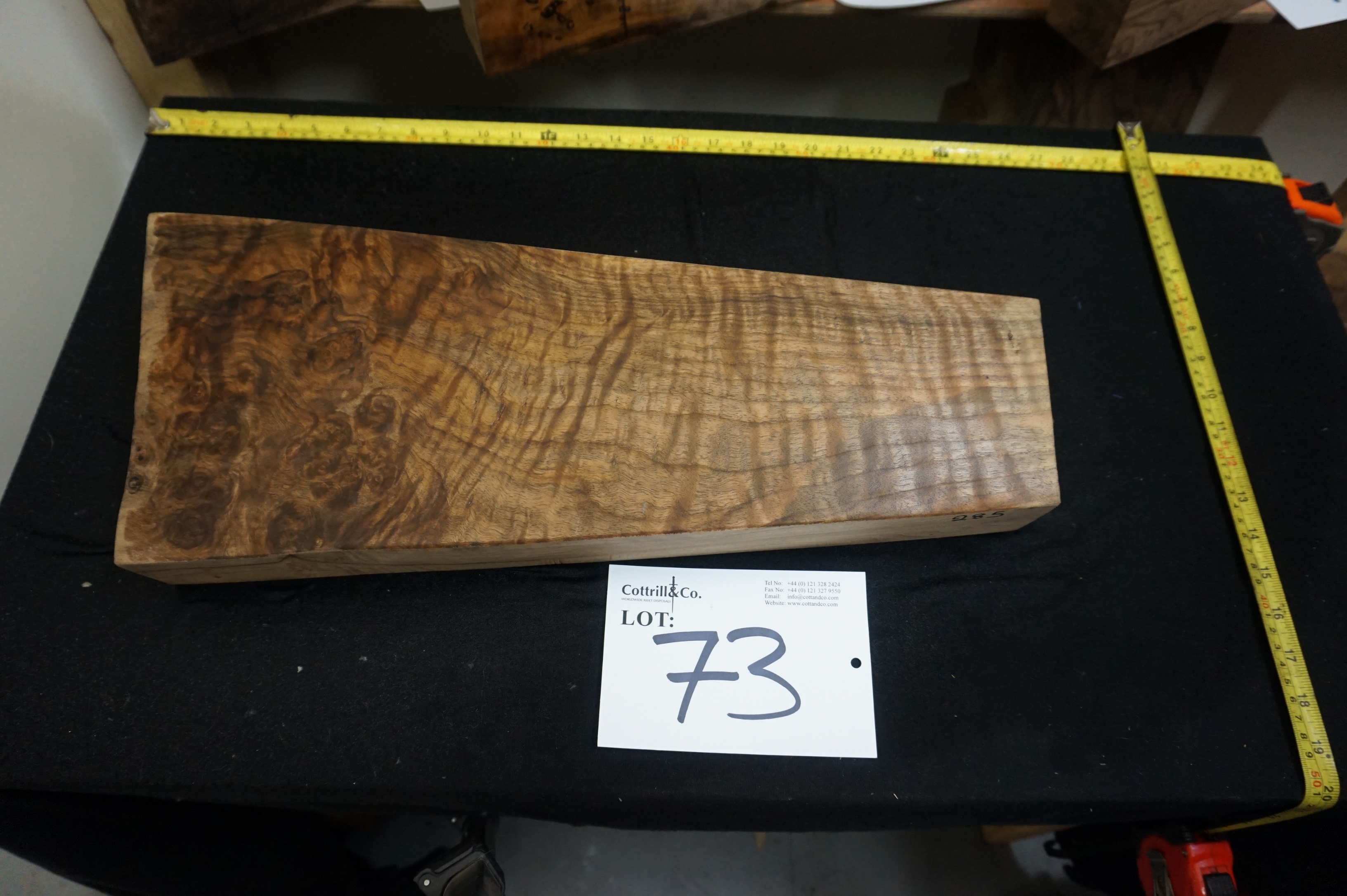 1 Piece of Exhibition Grade Turkish Walnut