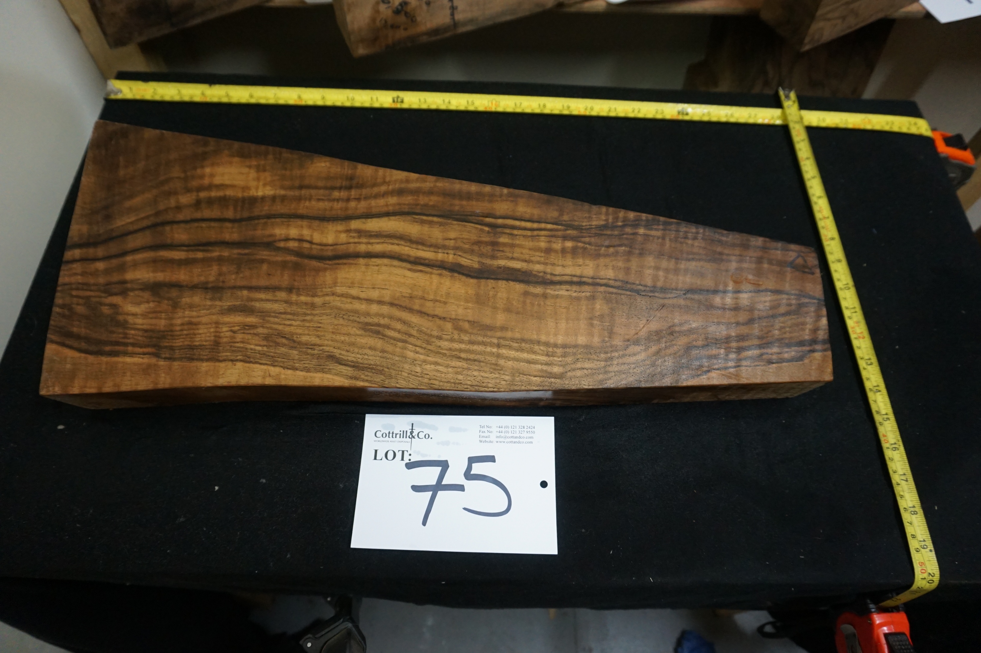 1 Piece of Exhibition Grade Turkish Walnut