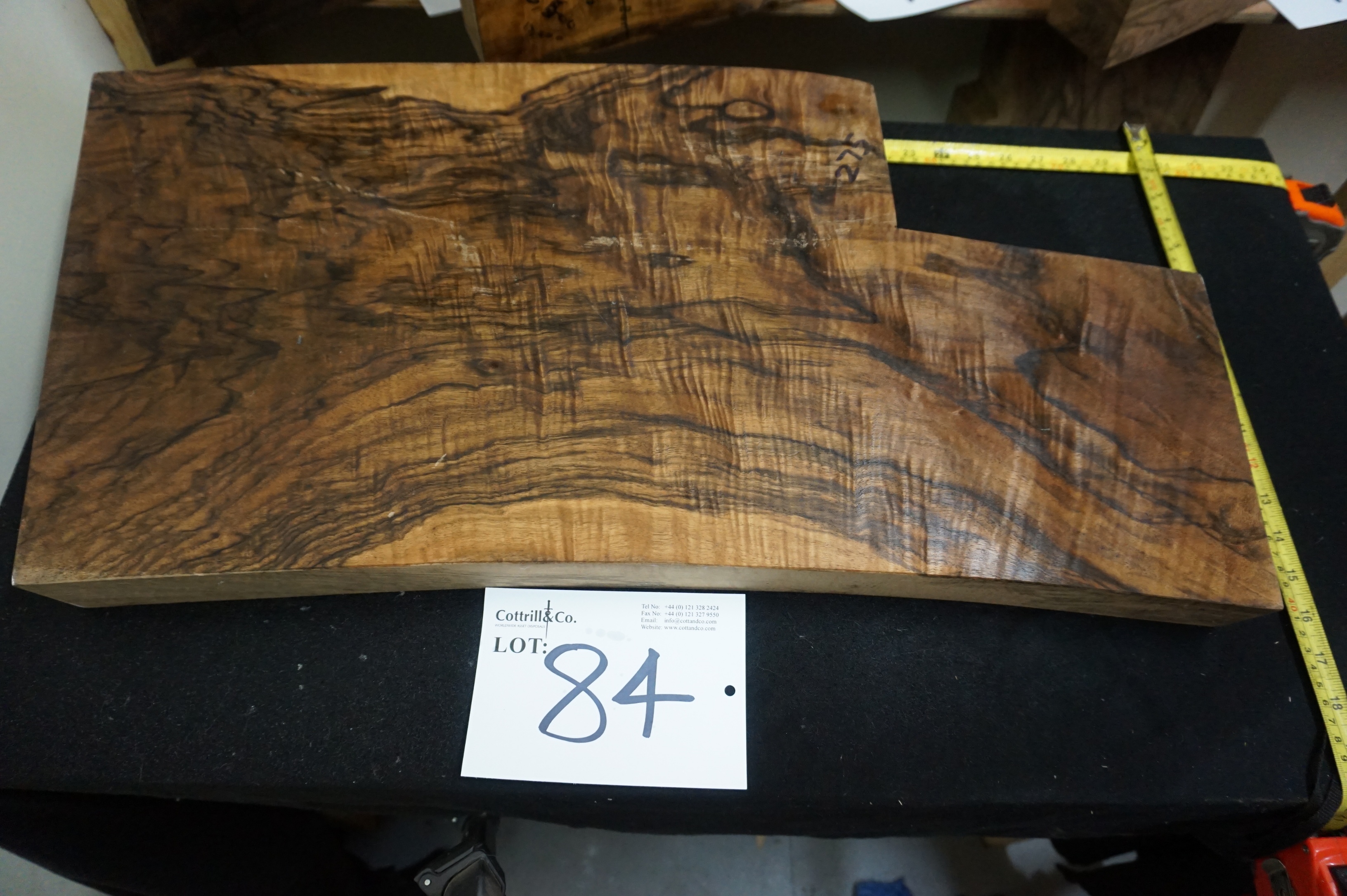 Large Piece of Exhibition Grade Turkish Walnut