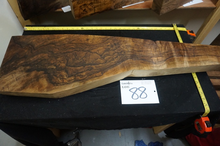 1 Piece of Exhibition Grade Turkish Walnut