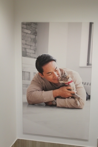 (3) x Mounted Prints