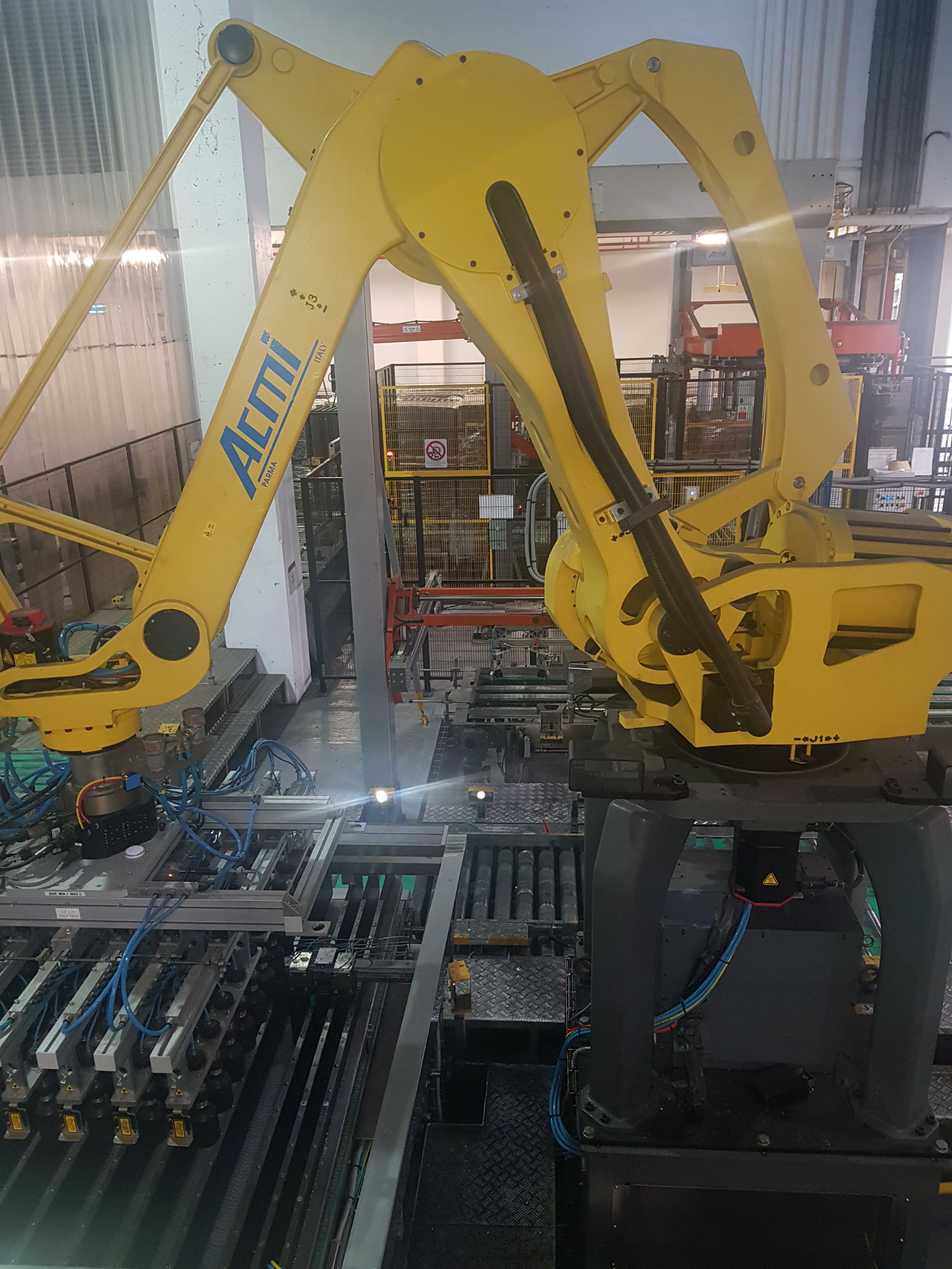 ACMI Palletising / Wrapper System