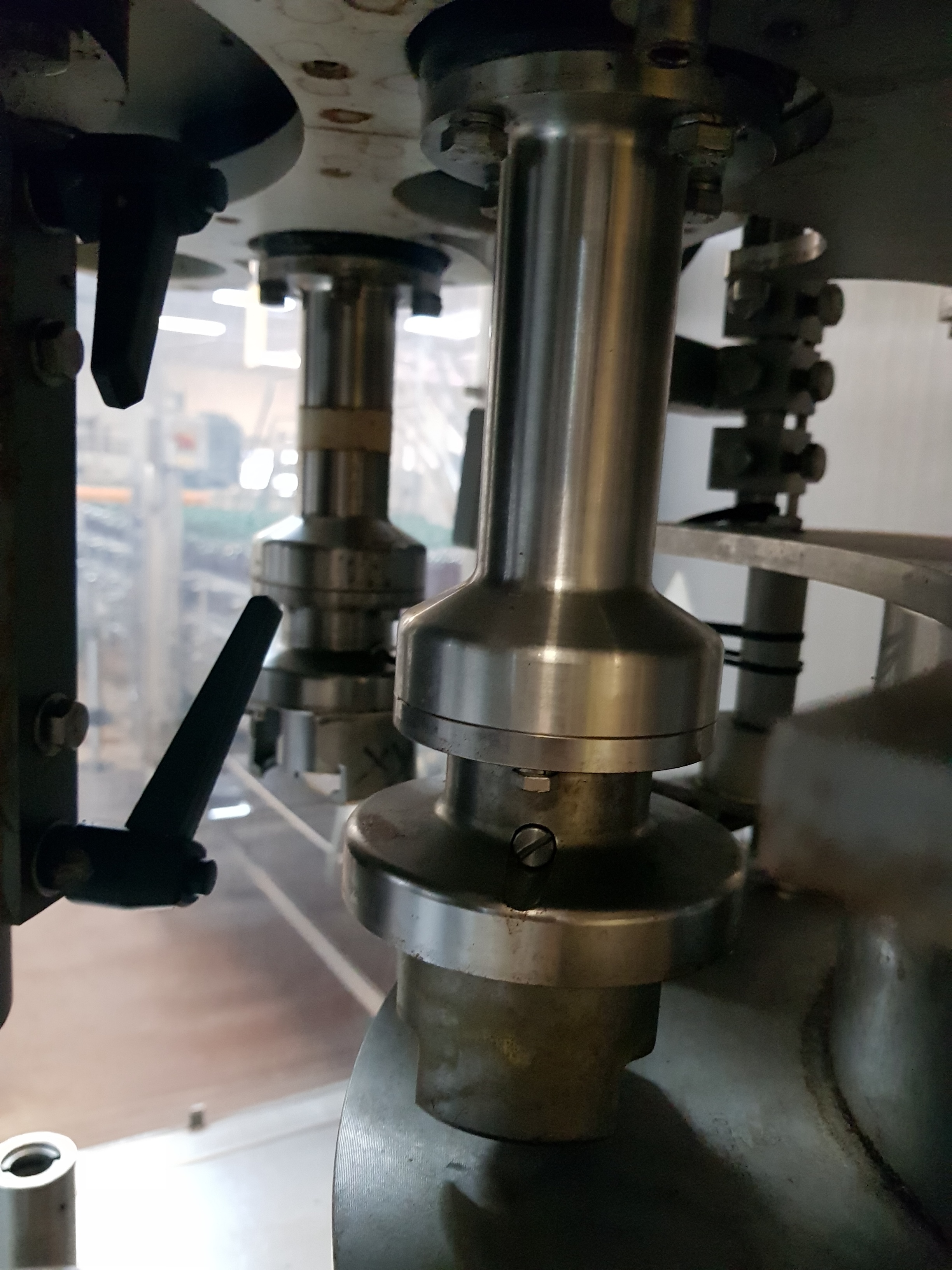 Zalkin 10-Head Capper Dual Feed