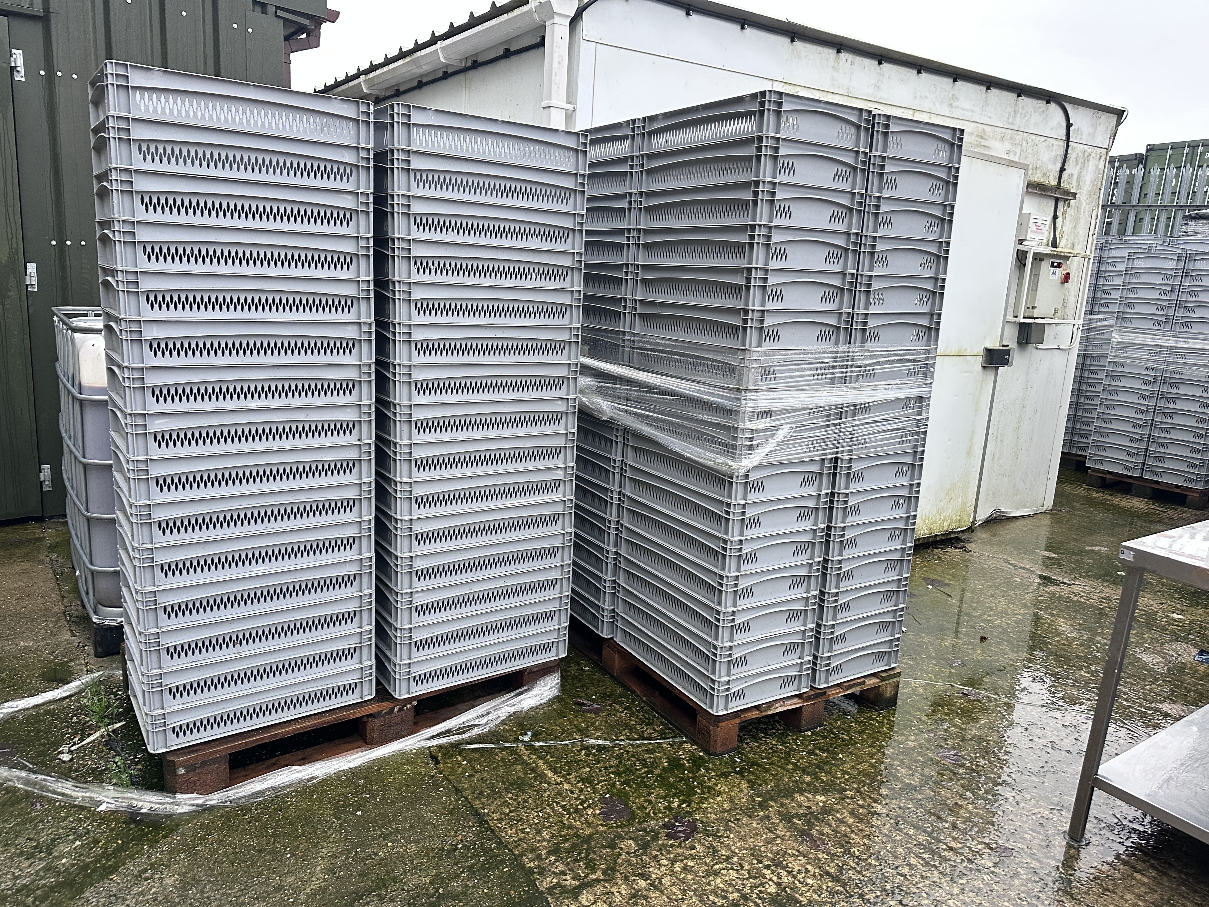 Qty of 200 Plastic Trays 600mm x 400mm x 110mm