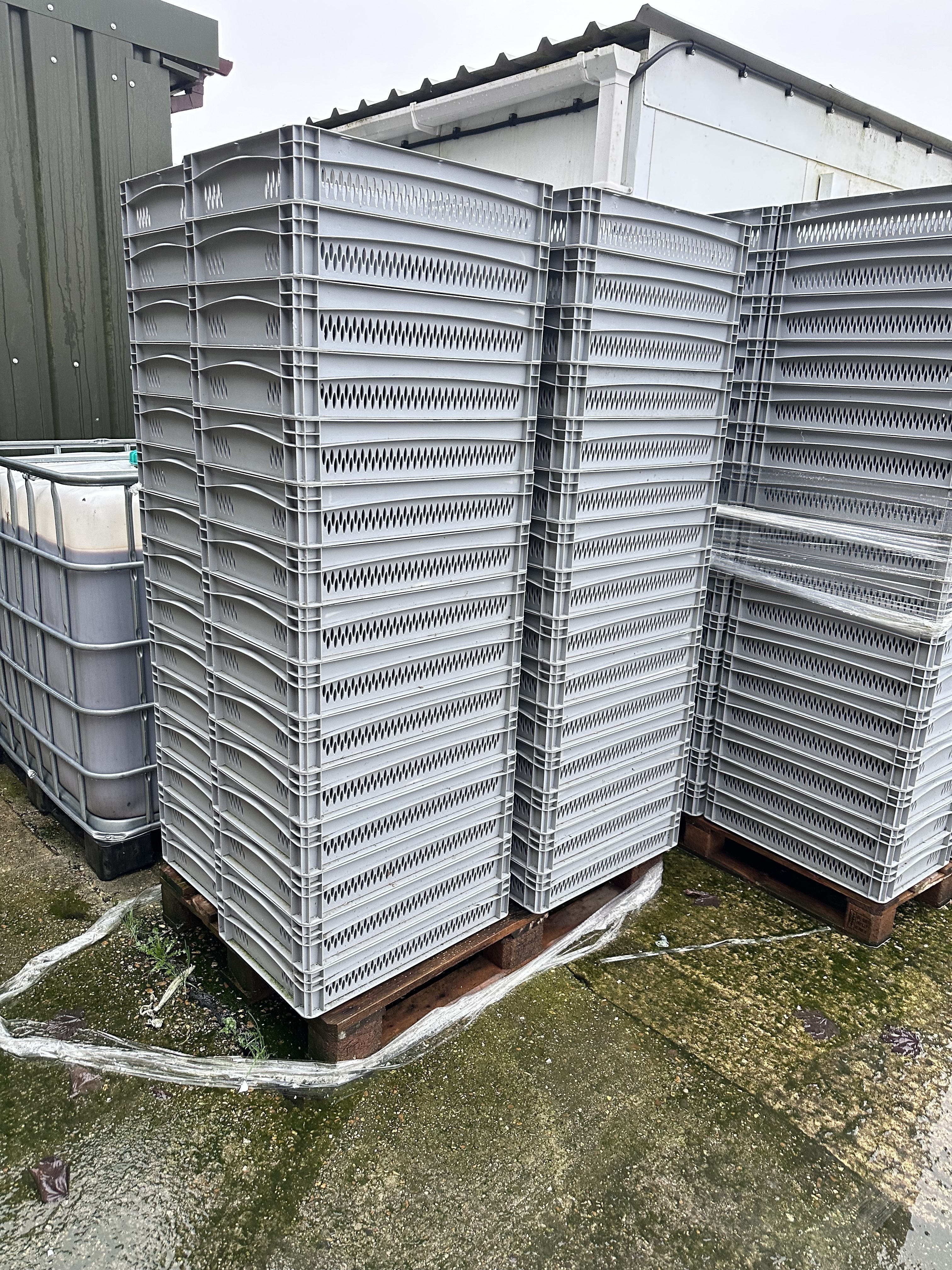 Qty of 200 Plastic Trays 600mm x 400mm x 110mm