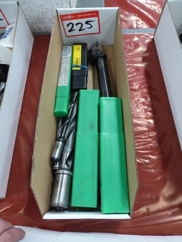 Box of Assorted Straight Shank Insert Tip Dills