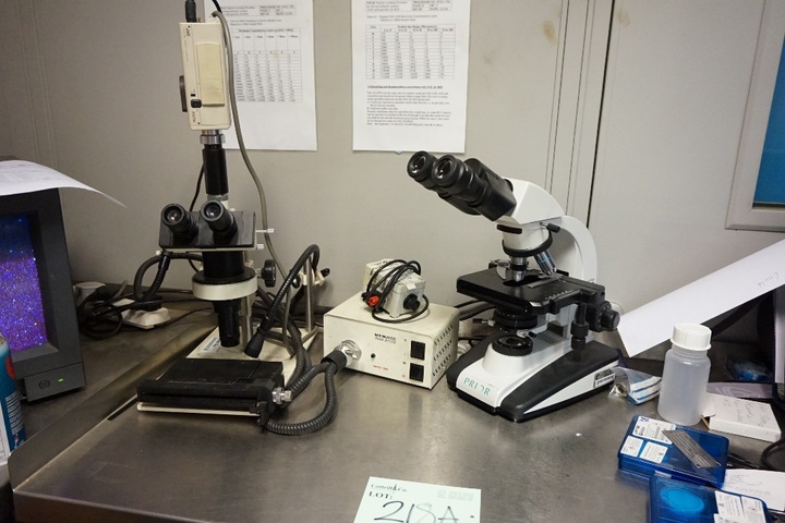 (2) x Microscopes